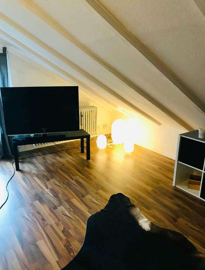 Grosse Dachgeschosswohnung Mit Kueche Und Badezimmer An Der Uniklinik Homburg Хомбург Экстерьер фото