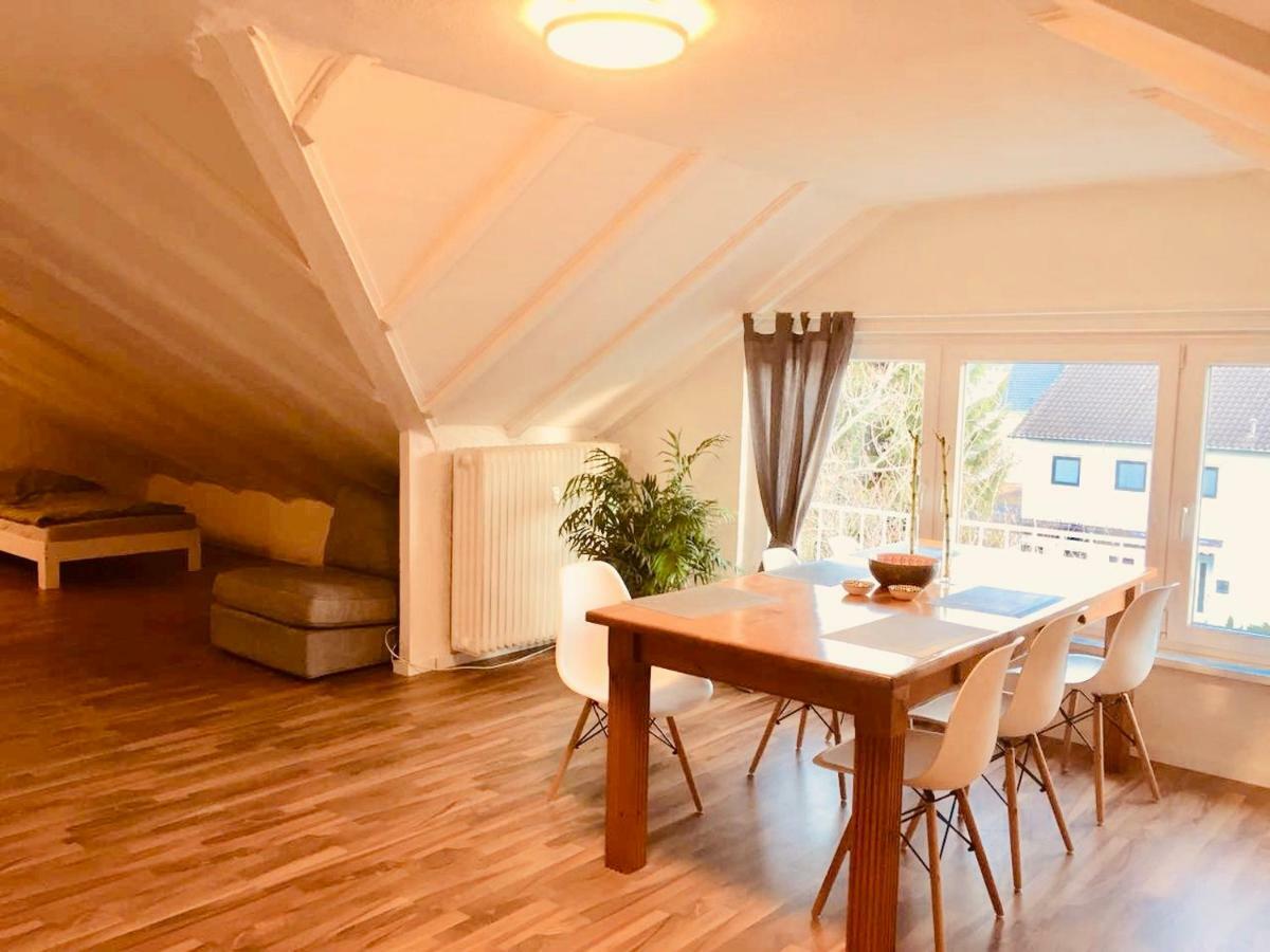 Grosse Dachgeschosswohnung Mit Kueche Und Badezimmer An Der Uniklinik Homburg Хомбург Экстерьер фото
