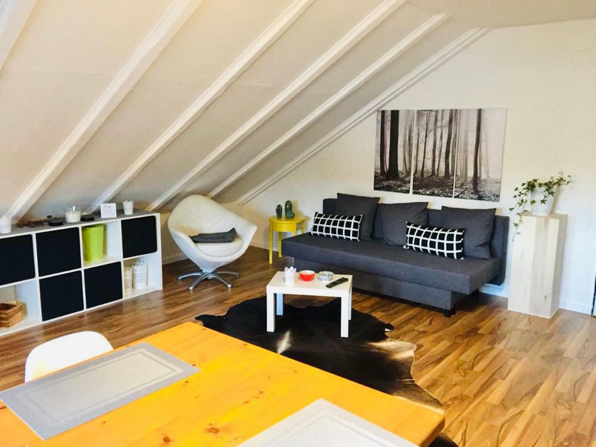 Grosse Dachgeschosswohnung Mit Kueche Und Badezimmer An Der Uniklinik Homburg Хомбург Экстерьер фото